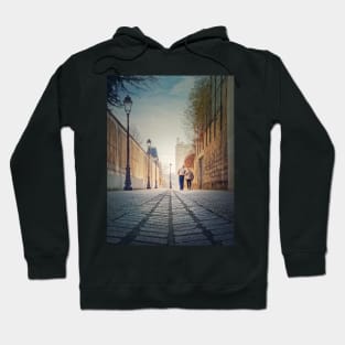 senior couple walking Hoodie